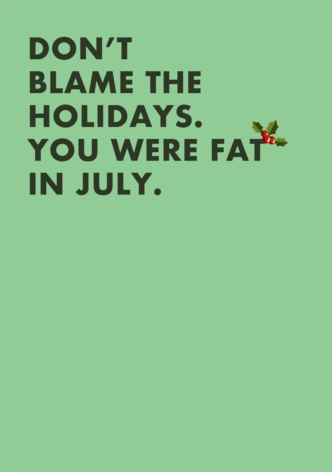 don_t blame hoilidays christmas card resized don't blame the holidays christmas card