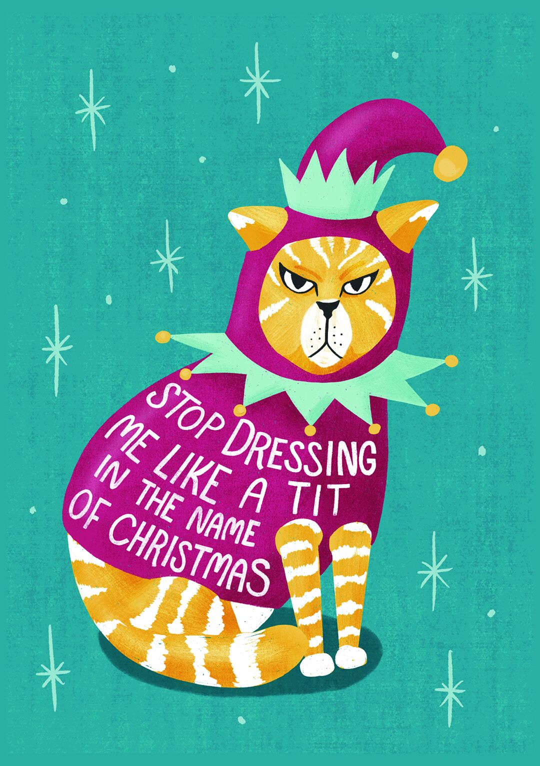 stop dressing me like a tit cat christmas card